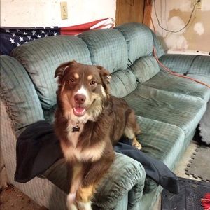 Meet your Posher, Grace